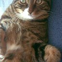  Viktor, , 28  -  15  2009    :-)