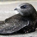 ���� ����, ������, 24 ���� - ��������� 30 ���� 2013 � ������ ���� ����������