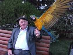 ���� ����, �����, 39 ��� - ��������� 18 ���� 2013