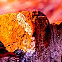 ���� ��������, �������, 58 ��� - ��������� 5 ������ 2011 � ������ ������ �� ���� �������