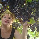 ���� �����, �����-���������, 61 ��� - ��������� 18 ���� 2012 � ������ ���� ����������