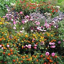 ���� ���������, ������ ��������, 46 ��� - ��������� 29 ������ 2009 � ������ ���� ��������!�