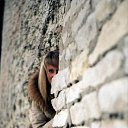 ���� �����, �����-���������, 40 ��� - ��������� 9 ���� 2010 � ������ ������ � �������� ����������