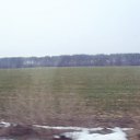 ���� �����, �������, 42 ���� - ��������� 15 ������ 2011 � ������ �������