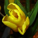 ���� ��������, ����������, 47 ��� - ��������� 12 ������ 2012 � ������ �������