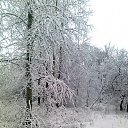 ���� ������, ������, 57 ��� - ��������� 3 ���� 2012 � ������ ���� ����������