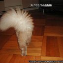 ���� �������, �������, 59 ��� - ��������� 18 ��� 2011 � ������ �������