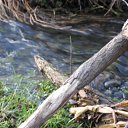 ���� ��������, �����-���������, 55 ��� - ��������� 4 ����� 2010