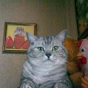 ���� ������, ������, 57 ��� - ��������� 3 ������� 2011 � ������ ���� ����������