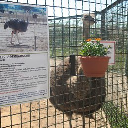 ���� �������, �������, 50 ��� - ��������� 18 ������� 2012