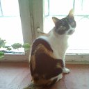 ���� ������, ������, 28 ��� - ��������� 15 ������ 2013 � ������ ���� ����������