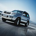 ���� ������, ��������, 54 ���� - ��������� 25 ������� 2011 � ������ ���� ����������