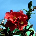   - , , 65  -  2  2012   