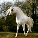 ���� Jeon Davon, ������ - ��������� 30 ��� 2012 � ������ �����������