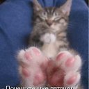 ���� �������, ������, 58 ��� - ��������� 15 ������ 2011 � ������ ���� ߻