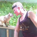 ���� ����, ������, 57 ��� - ��������� 8 ���� 2013 � ������ ���� ����������