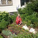 ���� Liana, ����������� - ��������� 1 ���� 2013 � ������ ���� ����������