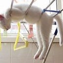 ���� ������, �����-���������, 38 ��� - ��������� 9 ������� 2012 � ������ ���� ����������