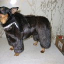 ���� ������, ������, 35 ��� - ��������� 23 ��� 2013 � ������ ���� ����������