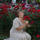 ���� ����, ������������ - ��������� 13 �������� 2011