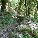 ���� �������, ����, 46 ��� - ��������� 1 ��� 2012 � ������ ����������� �������-�.����-�������� �������