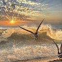 ���� �����, ������ - ��������� 26 ���� 2012 � ������ ����� � ����...�