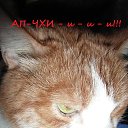 ���� Yiwangna***, ������ - ��������� 6 ��� 2013 � ������ ��������ϻ