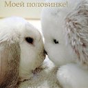 ���� ������, ������ ��������, 35 ��� - ��������� 22 ������ 2009 � ������ �������