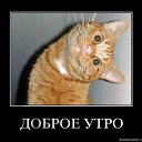 ���� ����, ������ ����, �����������, 41 ��� - ��������� 16 ������ 2010 � ������ �������