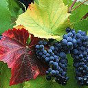 ���� �lena, �����, 56 ��� - ��������� 28 ������ 2013 � ������ ���� ����������