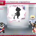 ���� Nika, ����, 38 ��� - ��������� 17 �������� 2010 � ������ �PetLove�