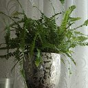 ���� ������, �������, 56 ��� - ��������� 31 ������ 2013 � ������ ���� ����������