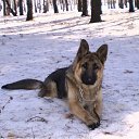 ���� ��������, ��������, 68 ��� - ��������� 11 ���� 2012 � ������ ���� ���� ���Ȼ