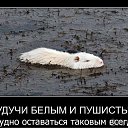 ���� ��, ������������, 39 ��� - ��������� 7 ������ 2011 � ������ ����������