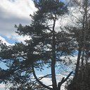 ���� ����, ���������, 63 ���� - ��������� 23 ������� 2012 � ������ ���� ����������