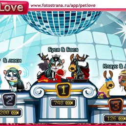 ���� �������, ���������, 36 ��� - ��������� 21 ������� 2010