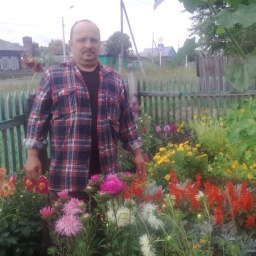 ������ �����, ������, 56 ���