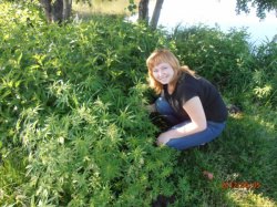 ����, ������, 40 ���