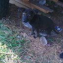 ���� ������, ���������� �����, 31 ��� - ��������� 19 ������� 2012 � ������ ���� ����������