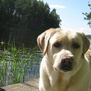 ���� ��������, ��� - ��������� 28 ������� 2012 � ������ ����������. ������. ����� ������� ����� � ���������-������