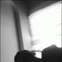 ���� ���������, ���������, 45 ��� - ��������� 24 ������� 2011 � ������ �PetLove�