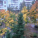 ���� �����, ����� - ��������� 25 ��� 2011 � ������ ����� �� ���� �����