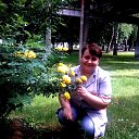 ���� ���������, ��������� - ��������� 26 ��� 2013 � ������ ���� ����������