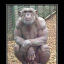 ���� �����..., �������, 52 ���� - ��������� 5 ������� 2012