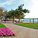 ���� �������, ������-��-����, 53 ���� - ��������� 10 ��� 2012 � ������ �������� ��������� ���������, ���� ����(��������)�