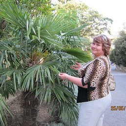 ���� ����, ����, 69 ��� - ��������� 15 ������ 2013