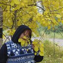 ���� �����, ������, 44 ���� - ��������� 17 ���� 2013 � ������ ���� ����������