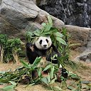 ���� �����, ������, 51 ��� - ��������� 16 ������� 2011 � ������ ���� ����-���� � ����� �������