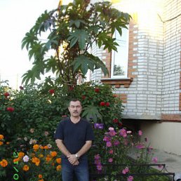 ��������, ���������, 60 ���