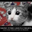 ���� ����@, ��������, 62 ���� - ��������� 4 ��� 2010 � ������ �������-��� ������� ����